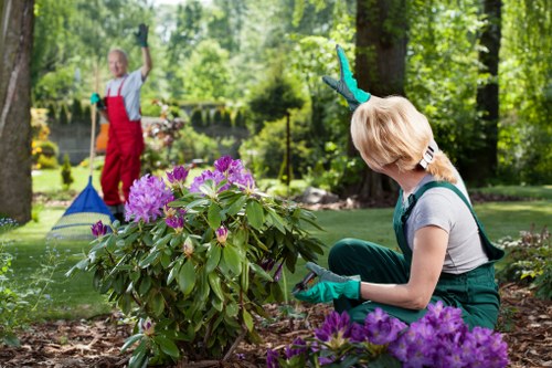 Team of insured landscapers preparing a safe garden clearance in Putney