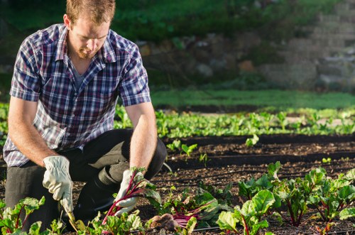 Cookie policy introduction for Landscapers Putney