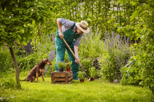 A person wearing a wide-brimmed straw hat, a blue apron, and checkered shirt is tending to a lush backyard garden, using a gardening tool to work the soil near a small wooden planter box filled with potted plants. The garden features a well-maintained grassy lawn, surrounded by various green shrubs, flowering plants with purple blooms, and mature trees that create a shaded environment. In the background, there's a mix of leafy foliage and natural stone elements, indicating a landscaped outdoor space typical of residential gardens in Putney. A brown dog is sitting on the grass nearby, observing the gardening activity. The scene appears to be in weather with natural daylight, highlighting the vibrant greenery and natural textures of the garden surfaces, which include a mix of grass, soil, and stone paving. This image exemplifies professional gardening practices, supporting services like lawn care, plant maintenance, and landscape improvement offered by local landscapers like Landscapers Putney.