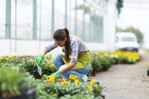 A woman is crouched in a bright, well-maintained garden on a paved pathway, working among rows of colorful flowering plants and green foliage. She is wearing a checked shirt, jeans, and green gardening gloves, and appears to be planting or tending to the flowers. The garden features a neatly edged flower bed bordered by fresh soil, with a variety of blooms in shades of yellow, pink, and purple, surrounded by lush green leaves. In the background, there is a modern glass greenhouse structure, along with a white van parked outside on the right side, indicating an outdoor horticultural or landscaping setting typical for garden maintenance services in Putney. The scene is lit by natural daylight, suggesting a clear and mild weather day, emphasizing the vibrancy of the garden’s natural colours. This image highlights gardening activity relevant to outdoor lawn, plant care, and garden landscaping services offered by companies like landscapersputney.co.uk, supporting their expertise in creating and maintaining attractive outdoor spaces in the local area.