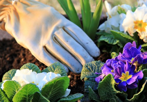 Gardener pruning shrubs in Putney garden