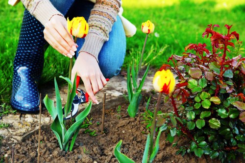 In a garden setting, a person is planting yellow and red tulips into the soil, with their hands visible in the act of placing the plants. The area features well-maintained flower beds bordered with stone edging, contrasting with lush green grass in the background. To the right, there is a shrub with deep red foliage and small green leaves, adding colour variation to the space. The garden is outdoors under natural daylight, creating a bright and inviting environment suitable for gardening and outdoor maintenance activities. The scene suggests ongoing planting work typical of professional landscapers in the Putney area, with a focus on garden enhancement and plant care. The texture of the soil is moist and dark, indicating recent preparation for planting, and the surrounding surfaces are clean and well-kept, reflecting careful garden management. This garden layout combines flower beds, grassy areas, and shrub borders, offering a visually appealing and functional outdoor space for leisure or further landscaping upgrades by local gardening specialists like Landscapers Putney.