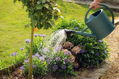 A well-maintained garden scene featuring a flower bed with purple and brown flowering plants bordered by wooden edging, adjacent to a lush green lawn area. In the background, a small deciduous tree with green leaves and a dense shrub are visible, contributing to the landscaped outdoor space. A person is watering the plants with a dark green watering can, pouring water onto the flower bed, which highlights active garden maintenance. The soil around the plants appears moist and healthy, with natural earth tones contrasting with the vibrant green foliage. The scene suggests a tidy, thoughtfully arranged backyard garden typical of residential properties in Putney, with natural light illuminating the area on a clear day, supporting professional gardening and landscaping services aimed at enhancing outdoor spaces like this one.