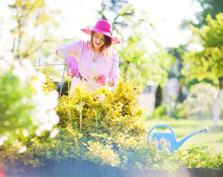 A woman in a pink hat and gardening gloves tends to a lush garden bed, with yellow flowering shrubs and green foliage visible in the background. The garden features a mix of dense grass and well-maintained plant borders, with clear showing of soil and decorative paving stones. In the foreground, the garden bed is bordered by a low edge, with vibrant yellow and green plants arranged neatly. A blue watering can sits on the lawn nearby, indicating ongoing outdoor maintenance. The scene is set outdoors on a bright, partly sunny day, with natural light illuminating the garden space, typical of a well-kept residential garden in Putney, with mature trees and landscaped elements enhancing the natural environment. This setting illustrates professional gardening and landscaping work carried out by Landscapers Putney, supporting garden care and outdoor maintenance services.