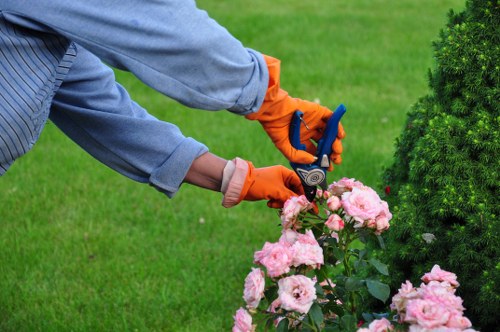 The image shows a gardener tending to a flower bed in a well-maintained garden, with a background of lush green grass, neatly trimmed hedges, and a small evergreen shrub. The gardener is wearing a long-sleeved grey shirt and bright orange gardening gloves, and is using pruning shears to trim a cluster of pink roses. The flower bed contains a variety of blooming flowers, framed by dark soil and some small decorative stones along the edge. The overall outdoor setting appears to be a residential garden, with natural sunlight illuminating the scene, emphasizing the vibrant colours and fresh foliage. Such garden maintenance includes careful pruning and plant care, often provided by landscaping professionals like Landscapers Putney, to promote healthy growth and sustainable outdoor spaces in the local area of Putney, SW15, aligning with eco-friendly and recycling principles highlighted on the company's website.