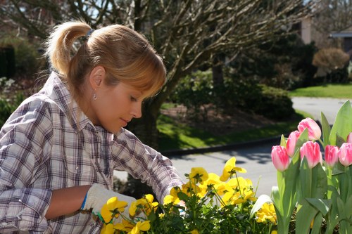 A young woman with blonde hair tied back in a ponytail is shown tending to a flowerbed in a residential garden, surrounded by blooming yellow pansies and pink tulips. She is wearing a plaid shirt and gardening gloves, carefully inspecting or tending to the plants. The garden features a lush, green lawn in the foreground, with mature trees and shrubs visible in the background, indicating a well-maintained outdoor space typical of properties in the Putney area. The scene is illuminated by natural daylight, suggesting a clear or partly cloudy day, with sunlight casting soft shadows. The garden layout includes a mix of vibrant flowers and green foliage, with a paved pathway nearby. This outdoor environment showcases elements common in local gardens requiring planting and maintenance services, aligning with the expertise of Landscapers Putney in garden planting and landscaping in the area.