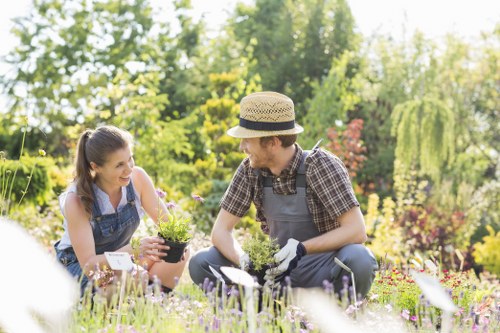 Homeowner planning a landscape garden with a professional in Putney