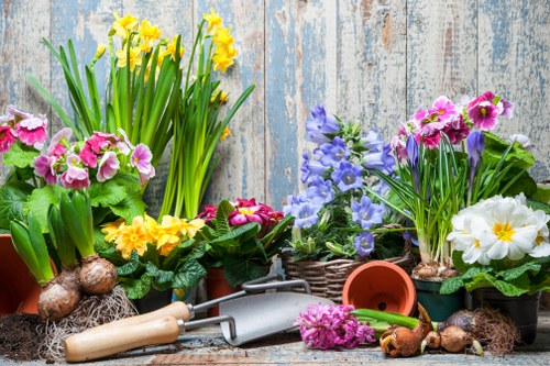 A close-up view of a collection of potted flowering plants arranged on a weathered wooden surface, featuring yellow daffodils, pink primroses, purple hyacinths, and white primroses with yellow centers. Some plants have visible roots and bulbs, and gardening tools such as a hand trowel and a small watering can are placed among the plants. The background consists of a rustic, faded blue wooden fence, creating a natural, outdoor garden scene suitable for promoting gardening and landscaping services in Putney or nearby areas.